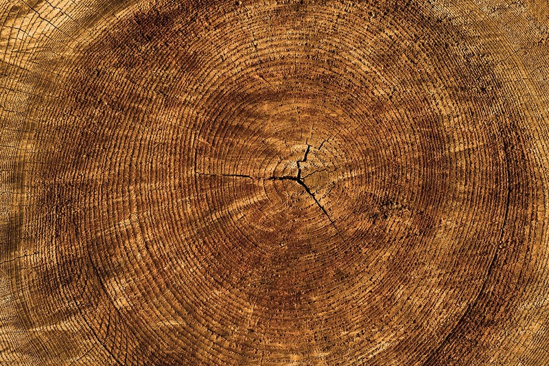 木　木質　木材