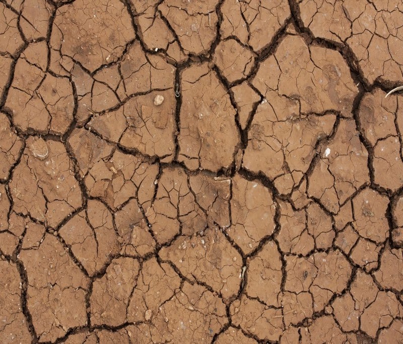 気候変動で乾いた地面の画像