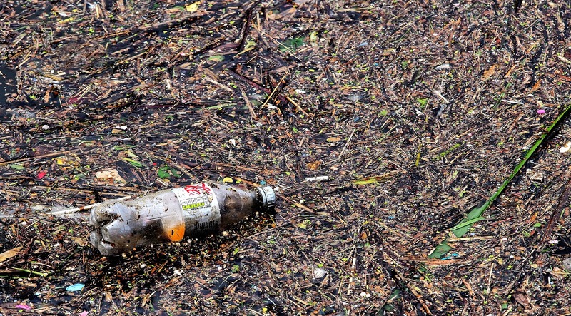 森林に捨てられたペットボトル