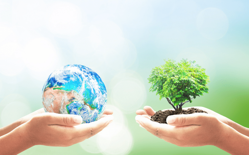 持続可能な地球と自然環境
