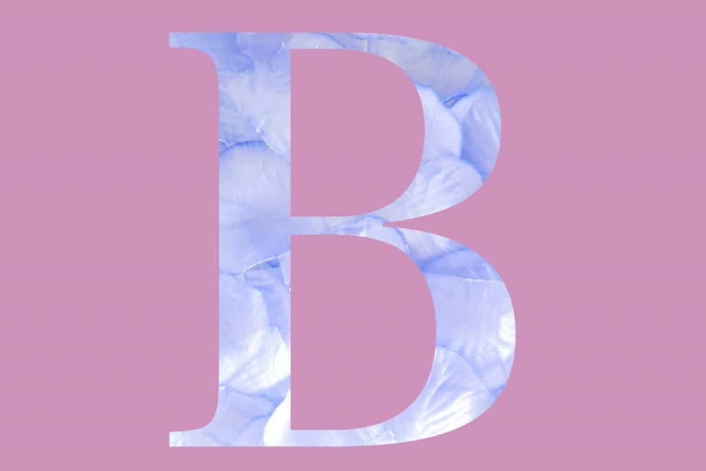 B-紫陽花の花びらの文字