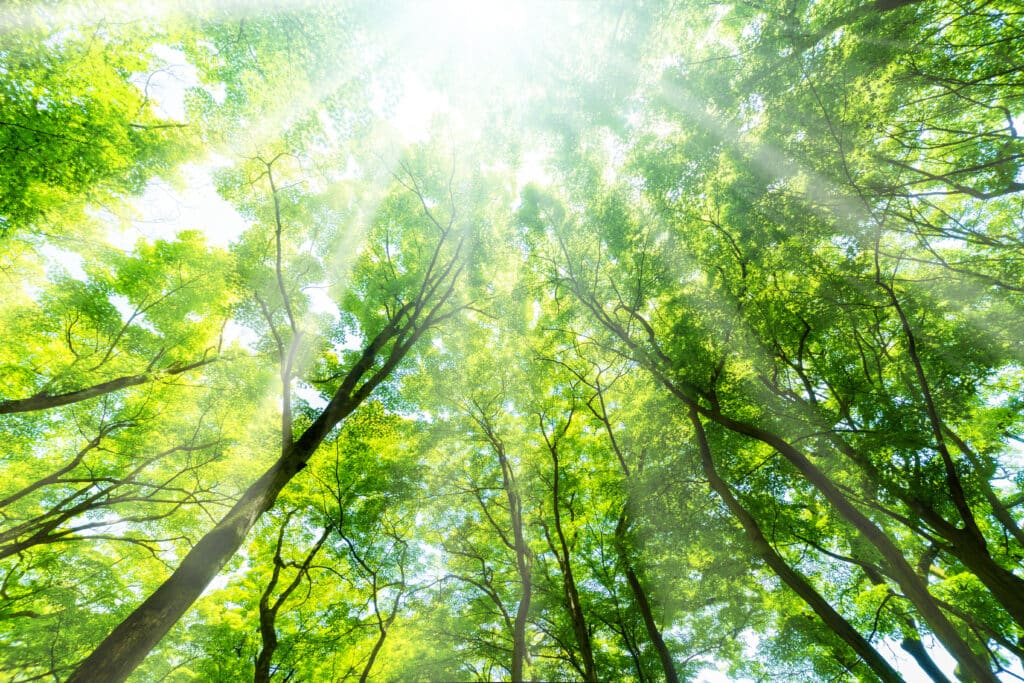 ウラノス・エコシステムが実現する未来